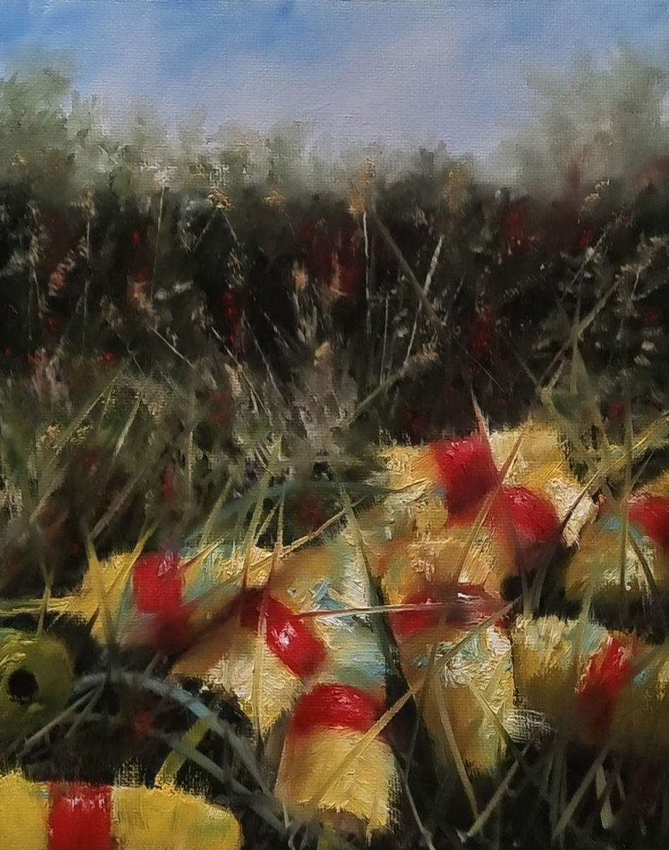 Lobster Buoys of Acadia
