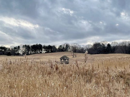 Featured in 06880 - Dan Woog Where Westport meets the world 