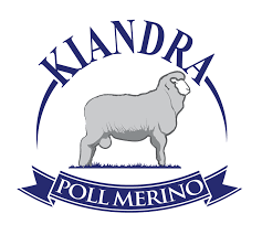 Kiandra Poll Merino