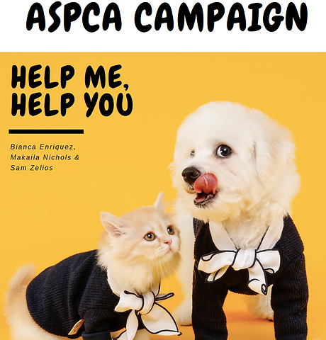 Screen Shot 2021-03-16 at 8.52.02 PM.png