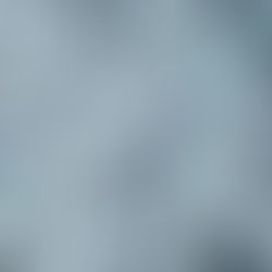 Teoria do Dólar Milkshake: como a moeda americana está sempre se fortalecendo?