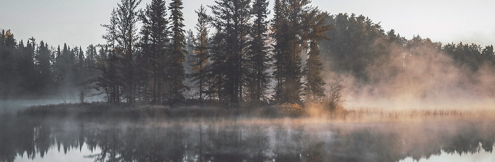 Misty Forest Reflection