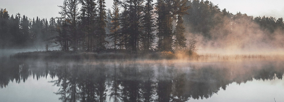 Misty Forest Reflection