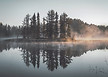 Misty Forest Reflection
