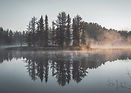 Misty Forest Reflection