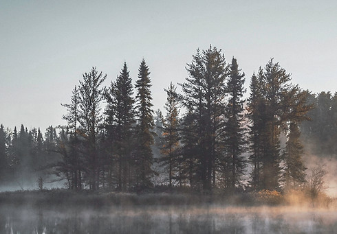 Misty Forest Reflection