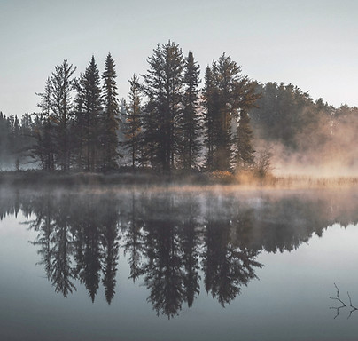 Misty Forest Reflection
