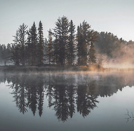 Misty Forest Reflection