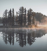 Misty Forest Reflection