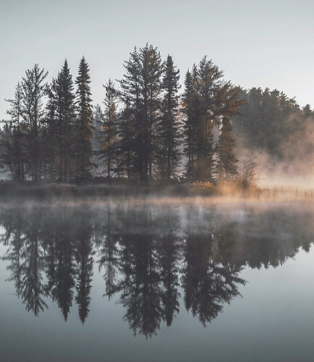 Misty Forest Reflection