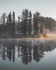 Misty Forest Reflection