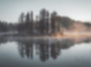 Misty Forest Reflection