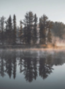 Misty Forest Reflection
