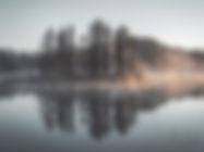 Reflexo enevoada Floresta