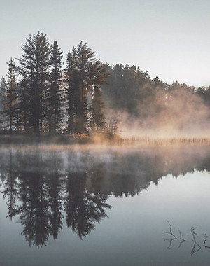 Misty Forest Reflection