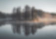 Misty Forest Reflection