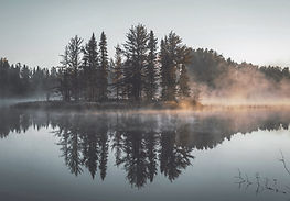 Réflexion brumeuse Forêt