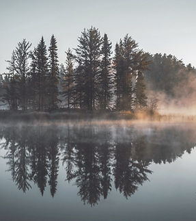 Misty Forest Reflection