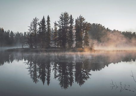 Misty Forest Reflection