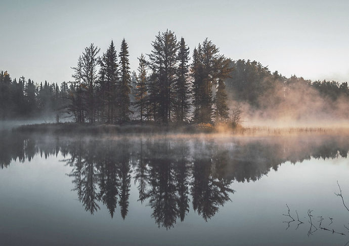 Misty Forest Reflection