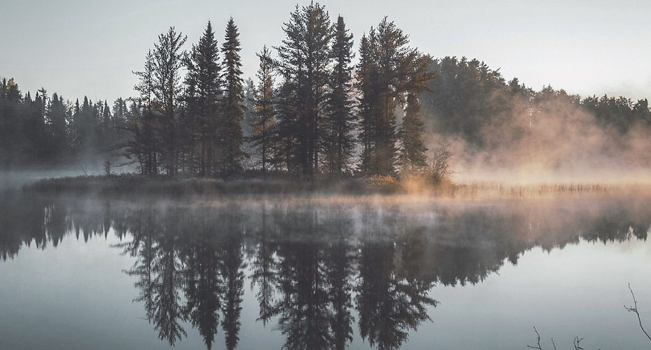 Misty Forest Reflection