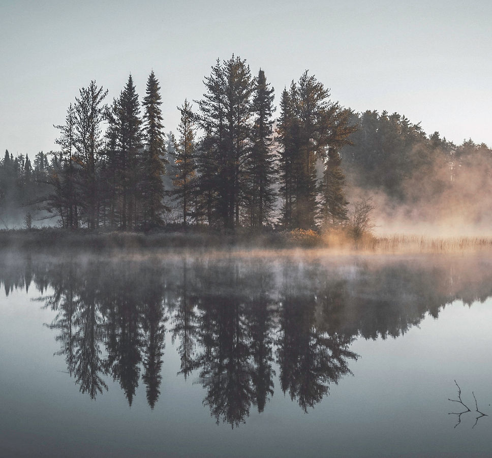 Misty Forest Reflection