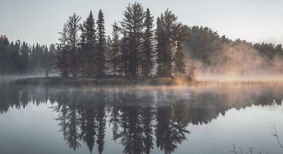 Misty Forest Reflection
