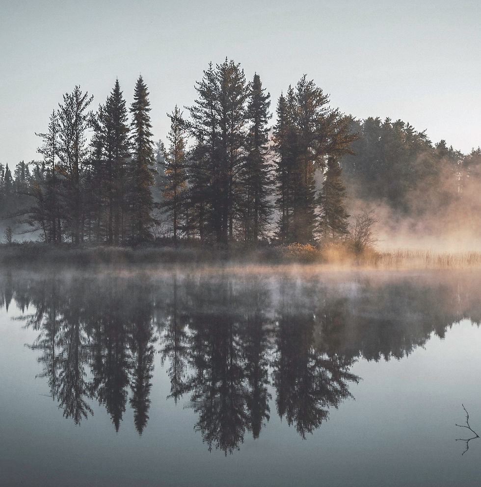 Misty Forest Reflection