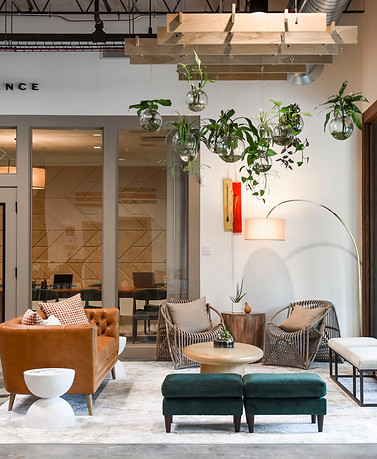 Indie+Interior-Photo+Credit-+ORION.jpg