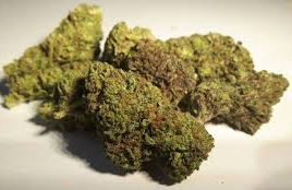 Is CBD Flower Legal in the UK? Understanding the Laws and Regulations"