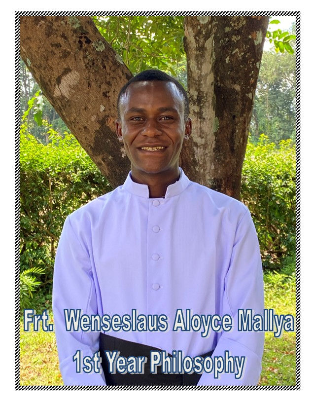 Frt. Wenseslaus Aloyce Mallya