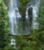 Lower Proxy Falls, OR