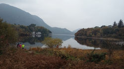 Muckross park
