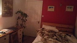 Homestay room