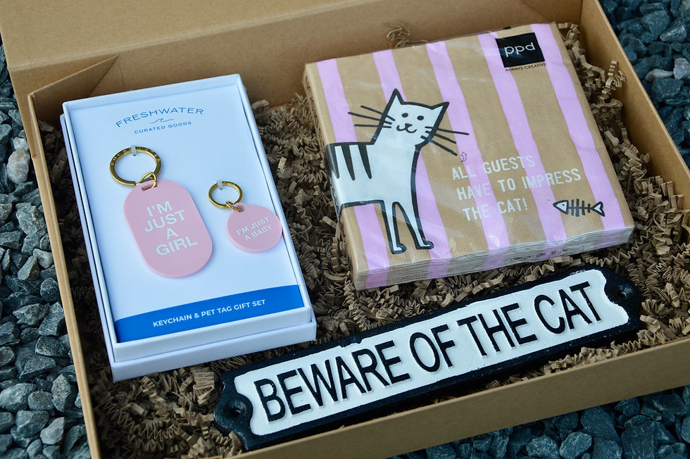 Miniature : Coffret cadeau Cat Lover 
