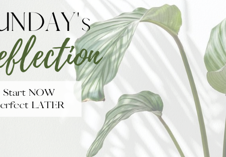 Sunday’s Reflection: Start NOW, Perfect LATER