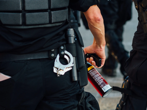 Officers who pepper spray a subdued suspect are not immune from suit