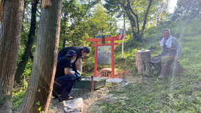 神社の鳥居