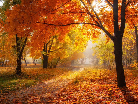 🌻 A New Season, A New Beginning