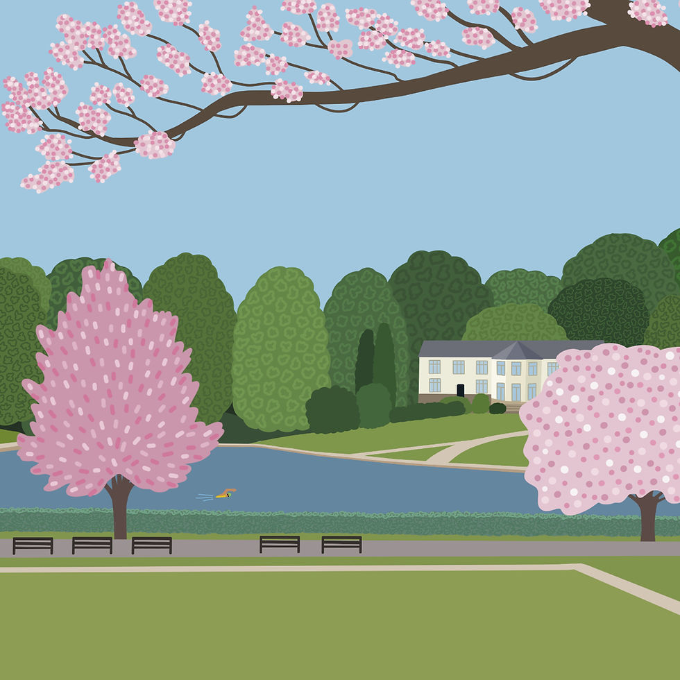 Thumbnail: Crookes Valley Park Illustration Print
