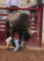 stomped on ina