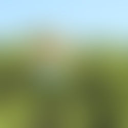 Best Beaches in Exuma