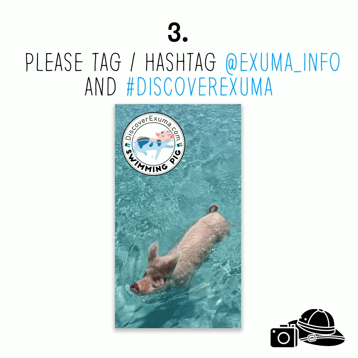 giphy instructions 4.gif