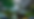 prismatic_background.png