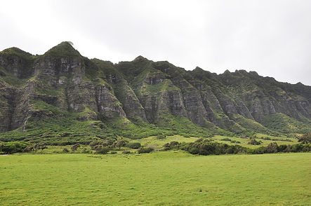 hawaii-g6423410c8_1280.jpg
