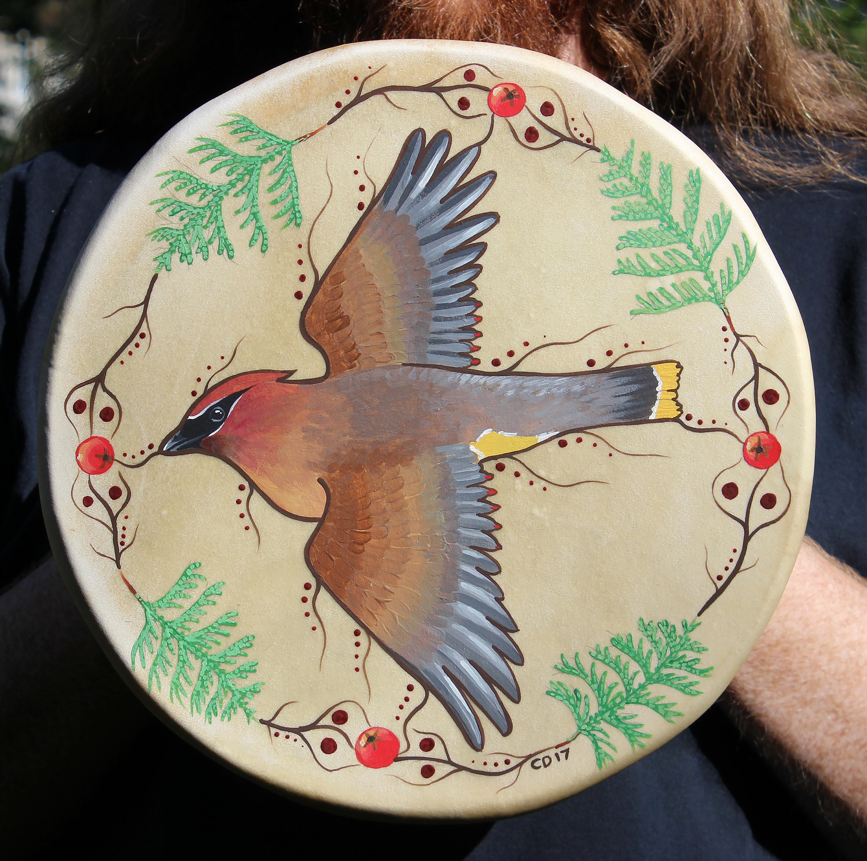 Cedar Waxwing Drum Painting