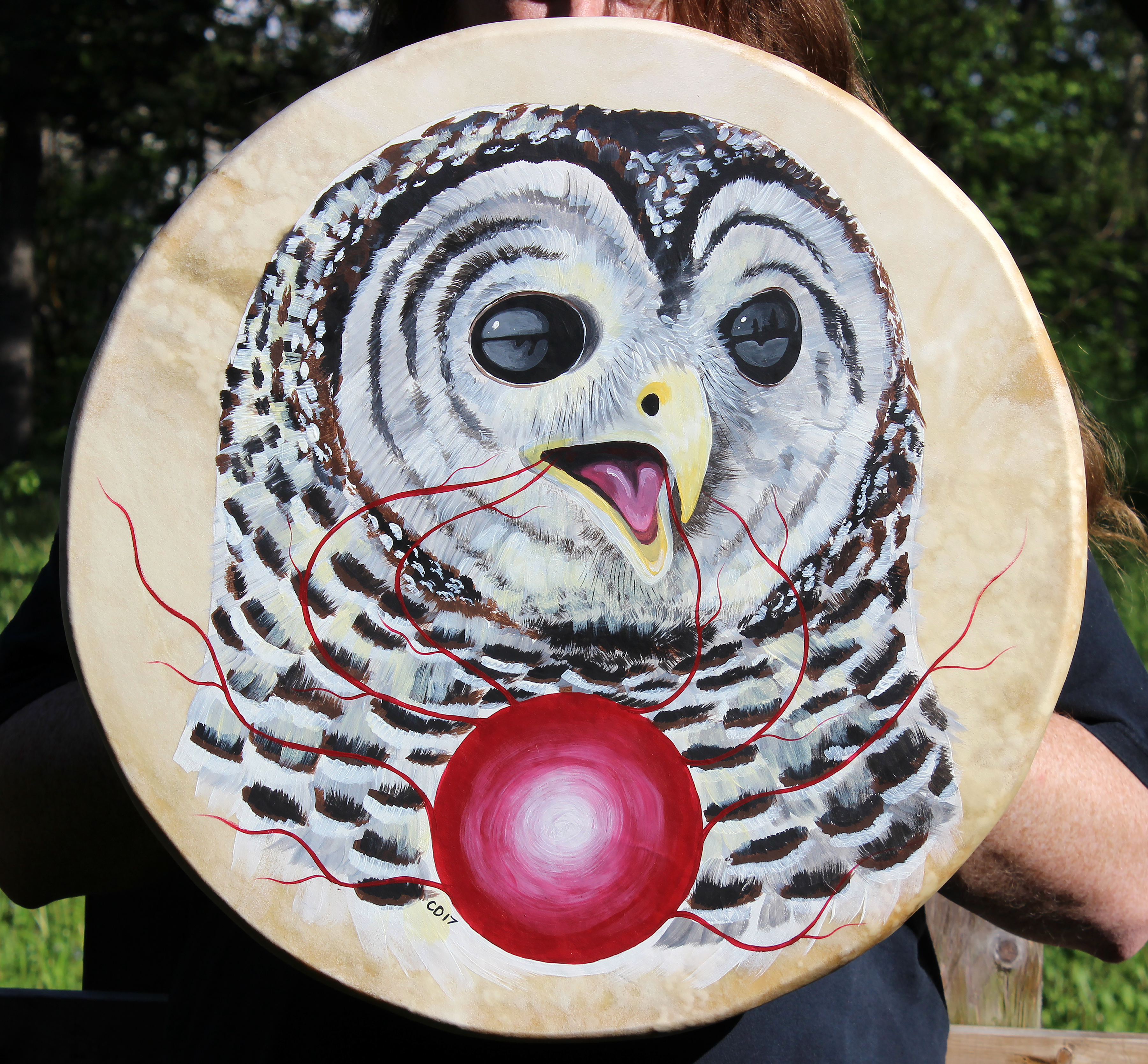 Barred Owl Drum Painting