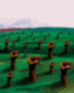 Field Of Justice, Surreal Collage Art Print by Shaylin Wallace