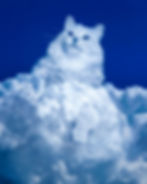 Cumulus Cat, Surreal Collage Art Print by Shaylin Wallace