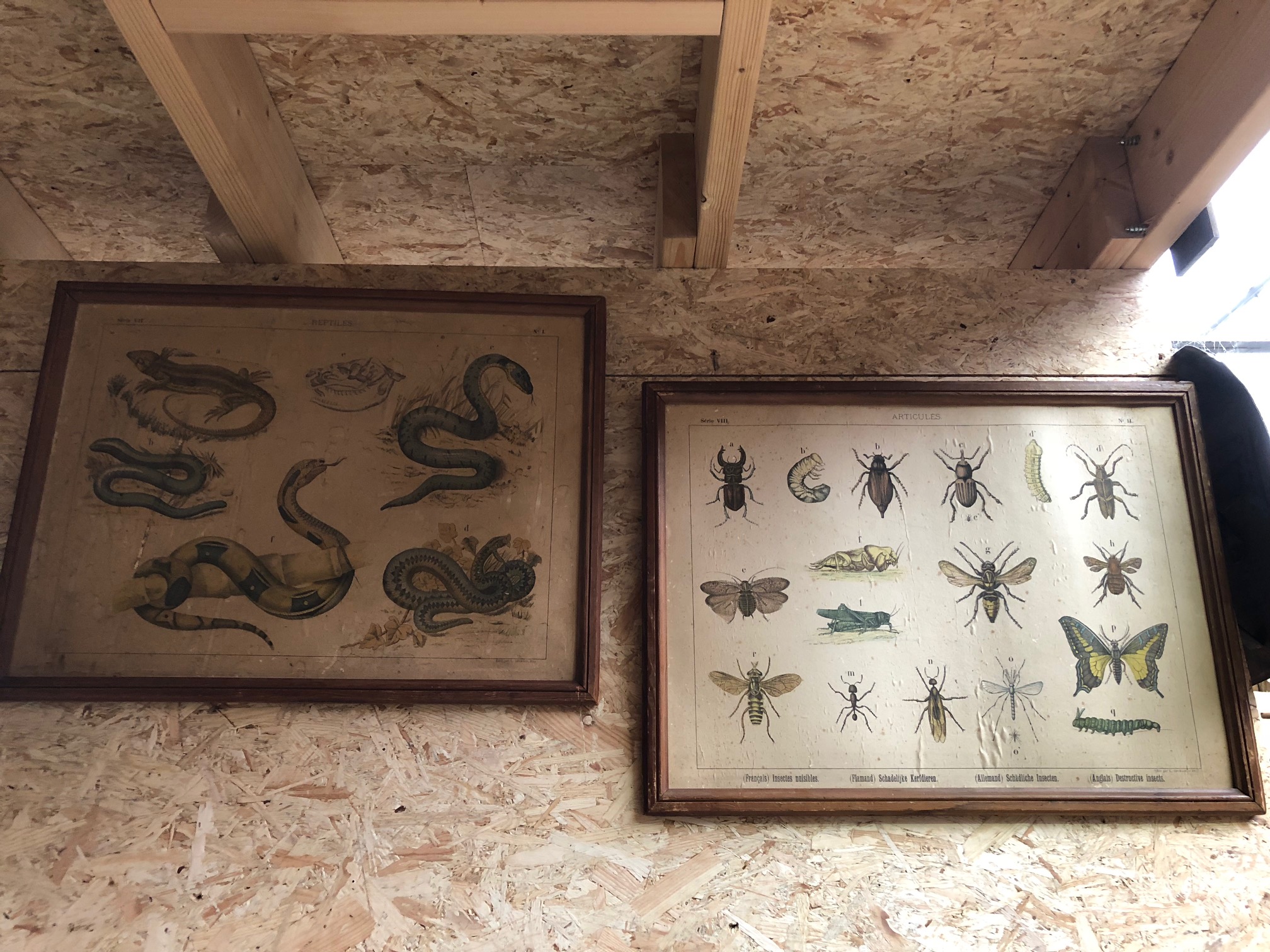 gravures